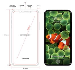 iPhone 8 终极曝光 颠覆性设计与配置，科技领域再树新标杆