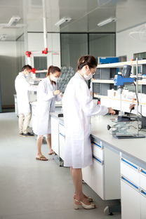 长三角化妆品与信息科技产业协同发展新趋势——以上海、苏州、杭州为例